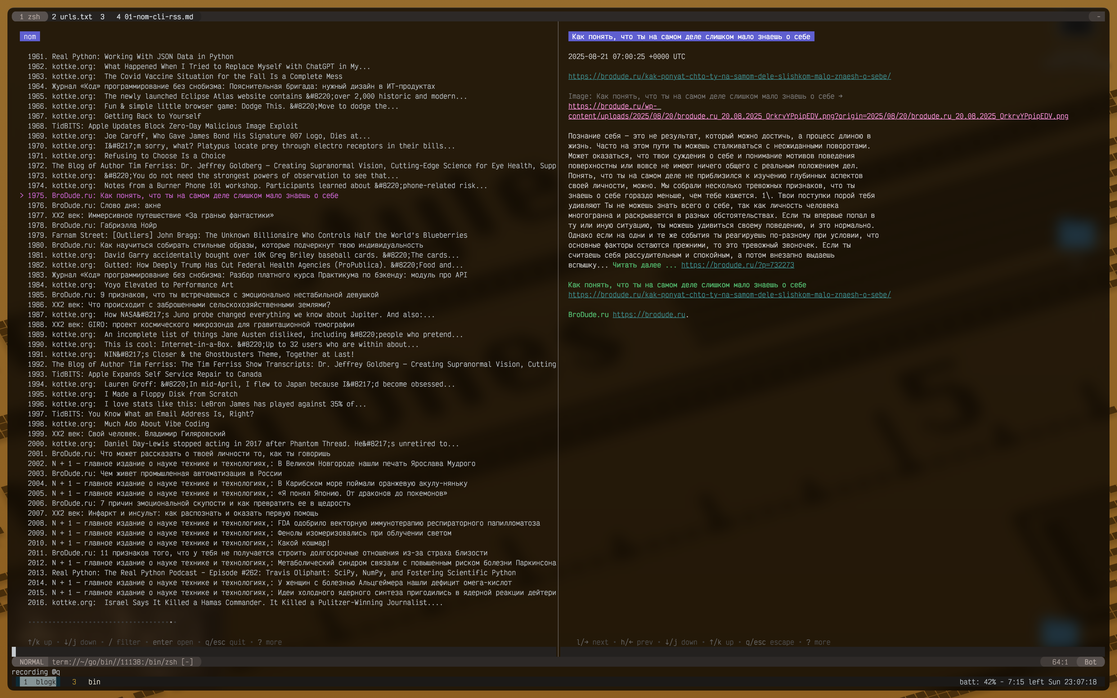 tui rss reader nom