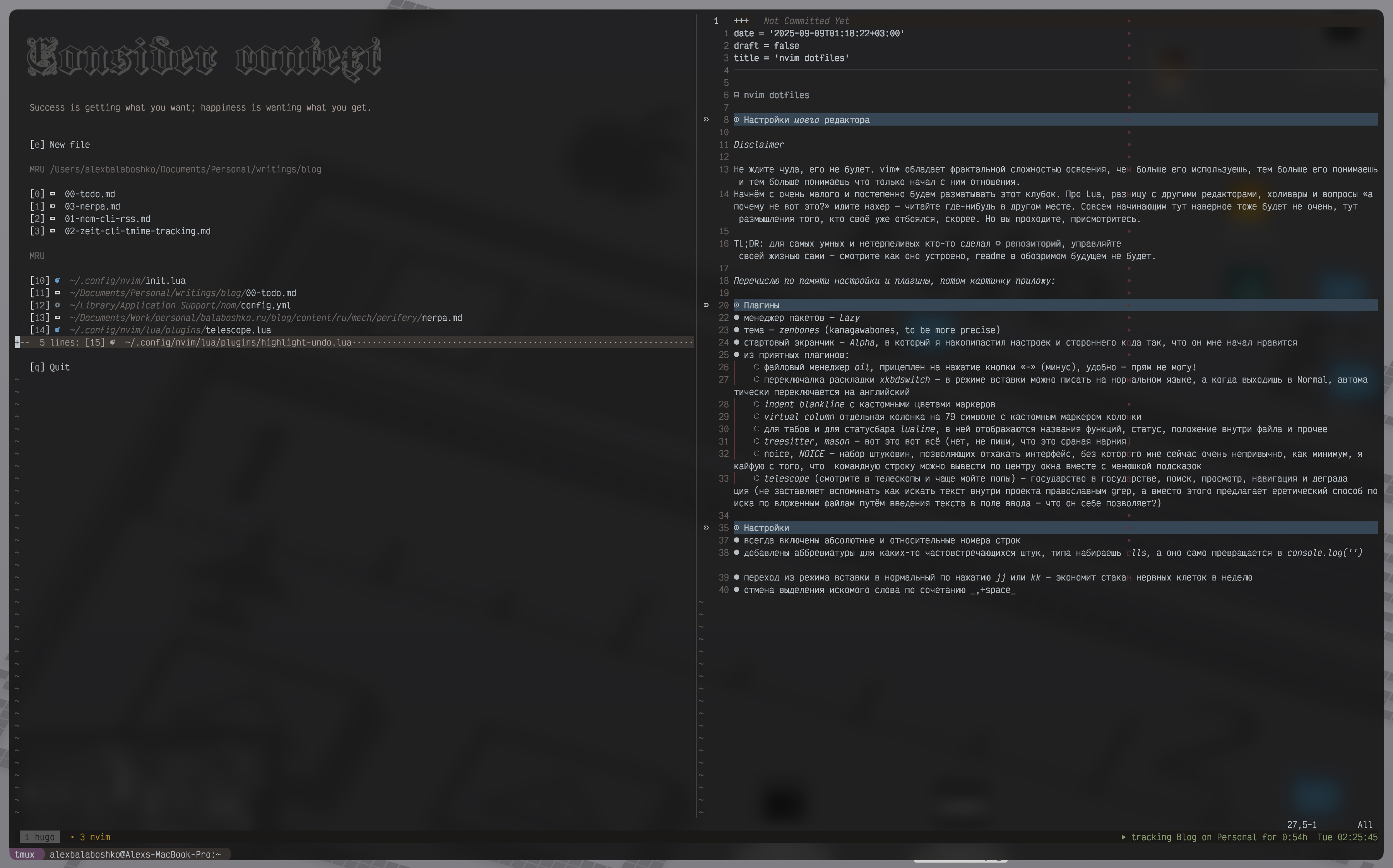 nvim dotfiles