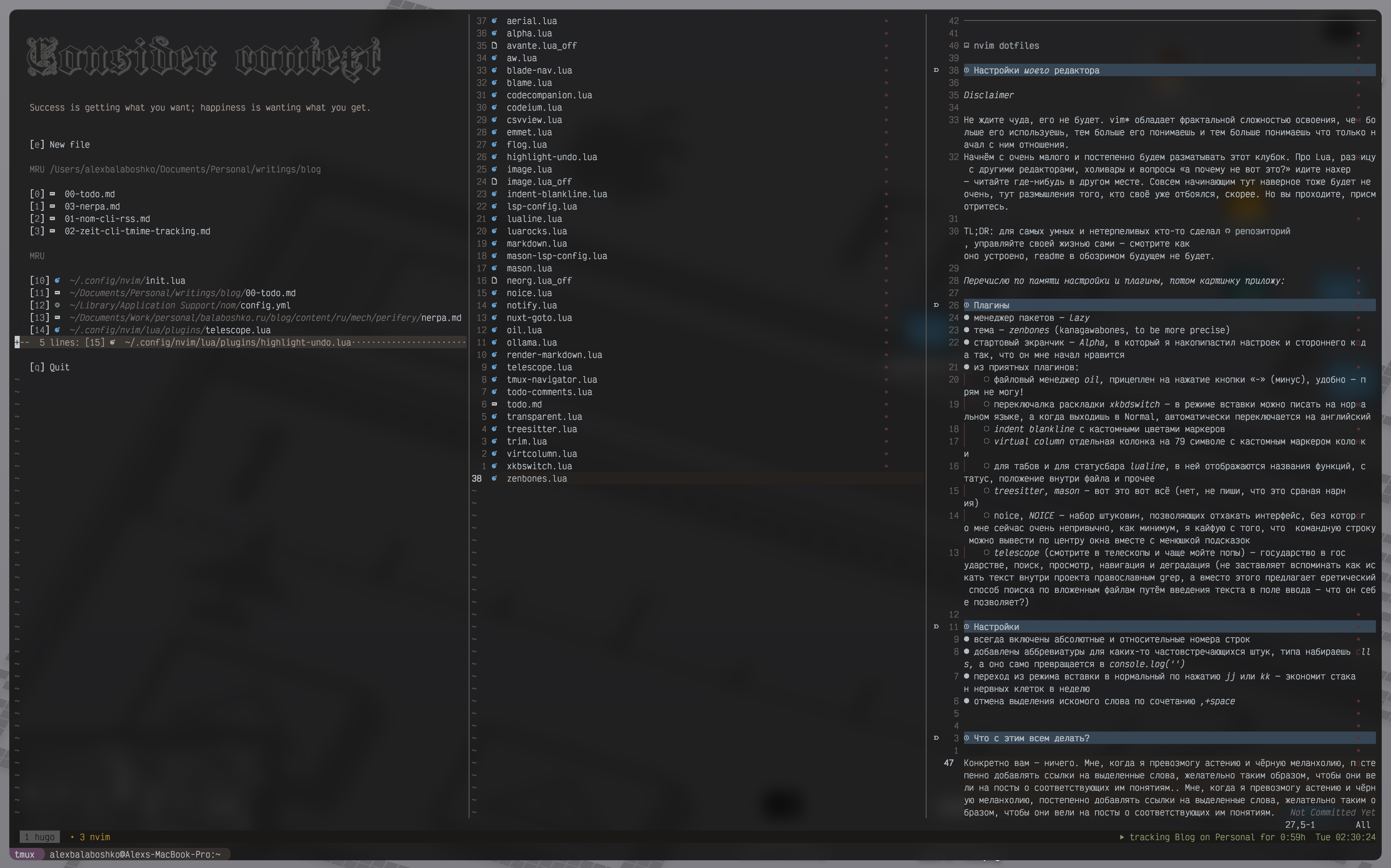 nvim dotfiles