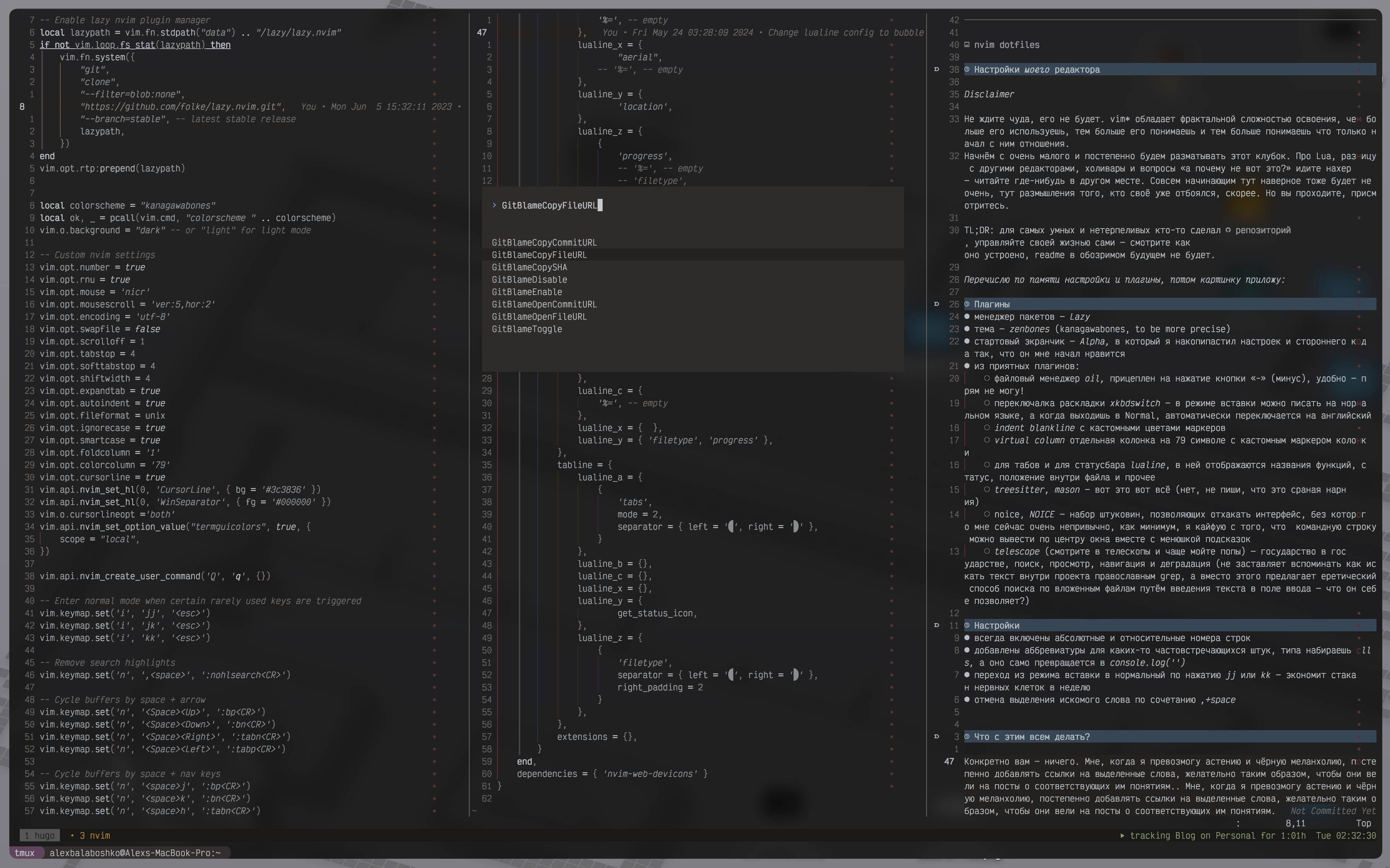 nvim dotfiles
