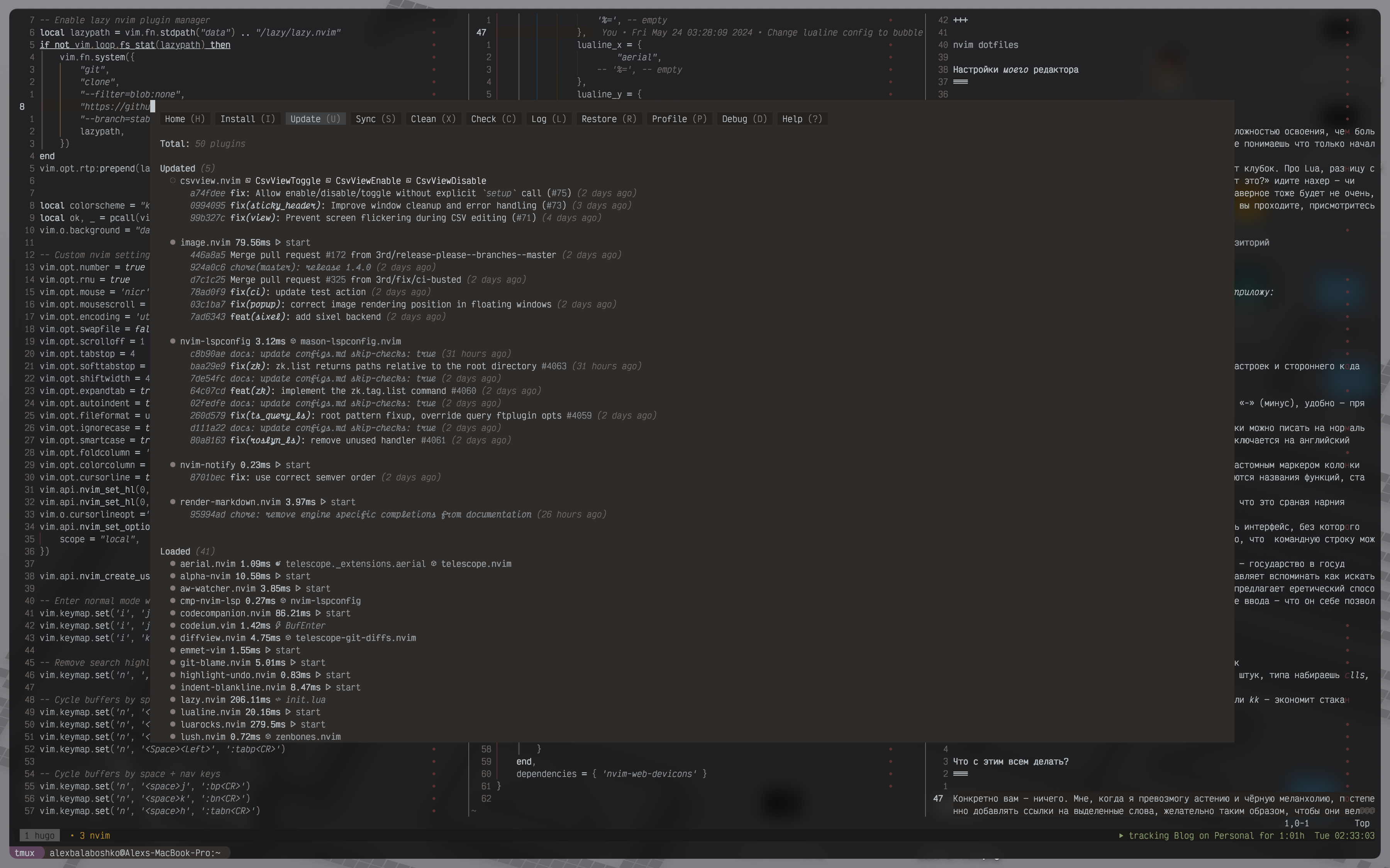 nvim dotfiles