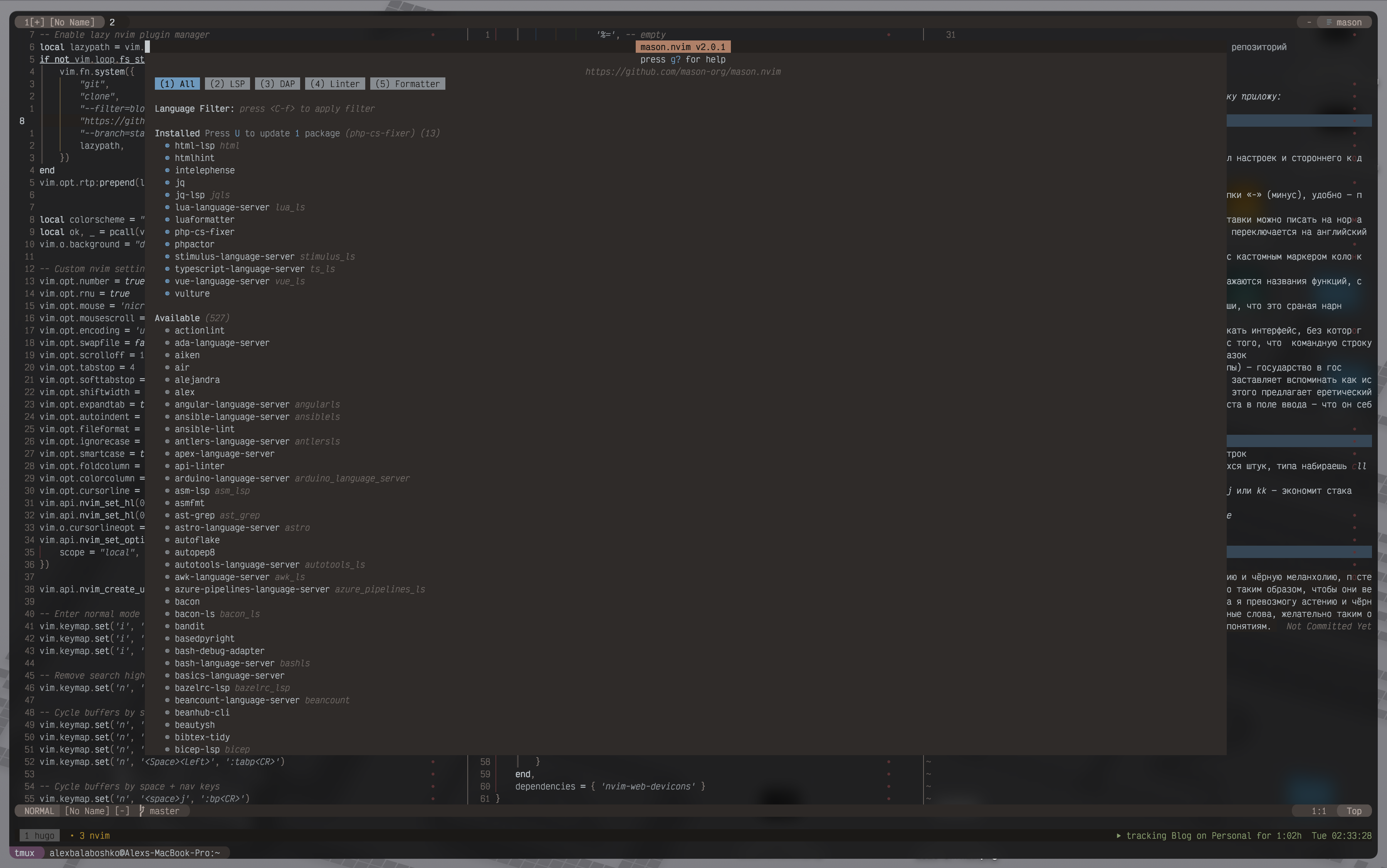 nvim dotfiles